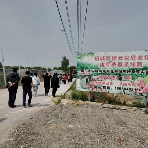 瑞尔物业为答谢长期支持，积极缴纳物业费的居民，特此诚邀甸柳一居。四居，六居的业主，免费提供采摘活动。 圆满结束啦！