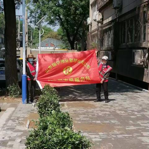 山东瑞尔物业管理有限公司《甸柳项目》26号院种植冬青绿化活动纪实