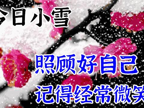 今日小雪：天地初寒，愿岁月安暖！