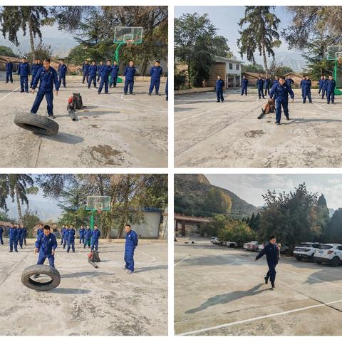 森林消防队10月8日工作动态