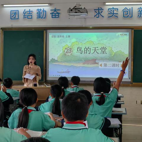 领略“鸟的天堂”，感受和谐之美——三才中心小学语文教研组《鸟的天堂》公开课