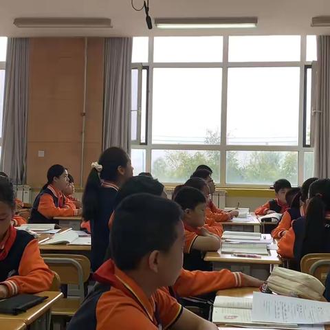 深耕文韵课堂，共绘育人新篇