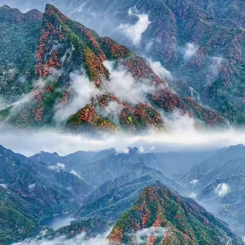 【浐灞教育·宇辰幼儿园】“当好秦岭卫士，守护中华名族祖脉”—秦岭生态保护宣传倡议书