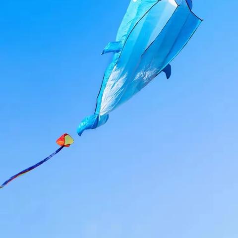 DIY风筝彩绘🪁亲子活动邀请函