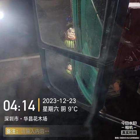 【龙澜大道观天路】作业简报