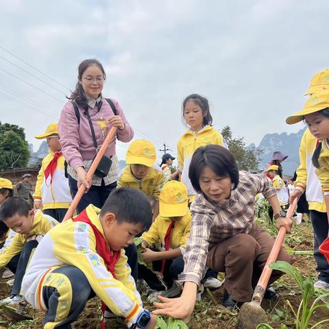 《实践励成长，劳动润人心》 金城江区第五小学2023年秋季学期二（8）班校外活动。冬季是学生们学习和生活的重要时期，同时也是培养学生劳动意识和动手能力的重要时机。