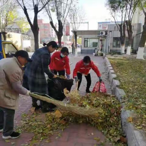 秋风催落叶 物业清扫忙