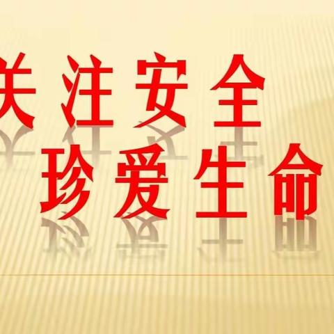 【加强宣传教育，筑牢安全防线】和平镇政府领导到藤县和平镇屯江小学开展安全知识进校园宣传活动