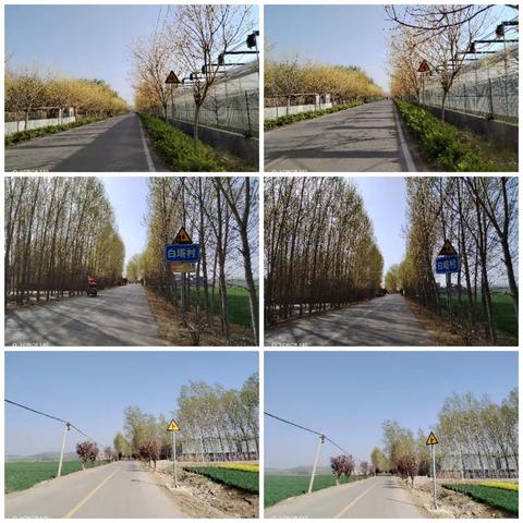 整治行动齐发力 路域环境换新颜