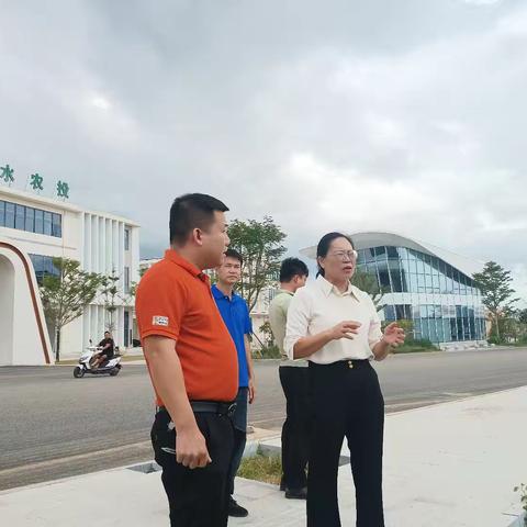 积极对接项目文罗镇全力推进招商引资项目落地
