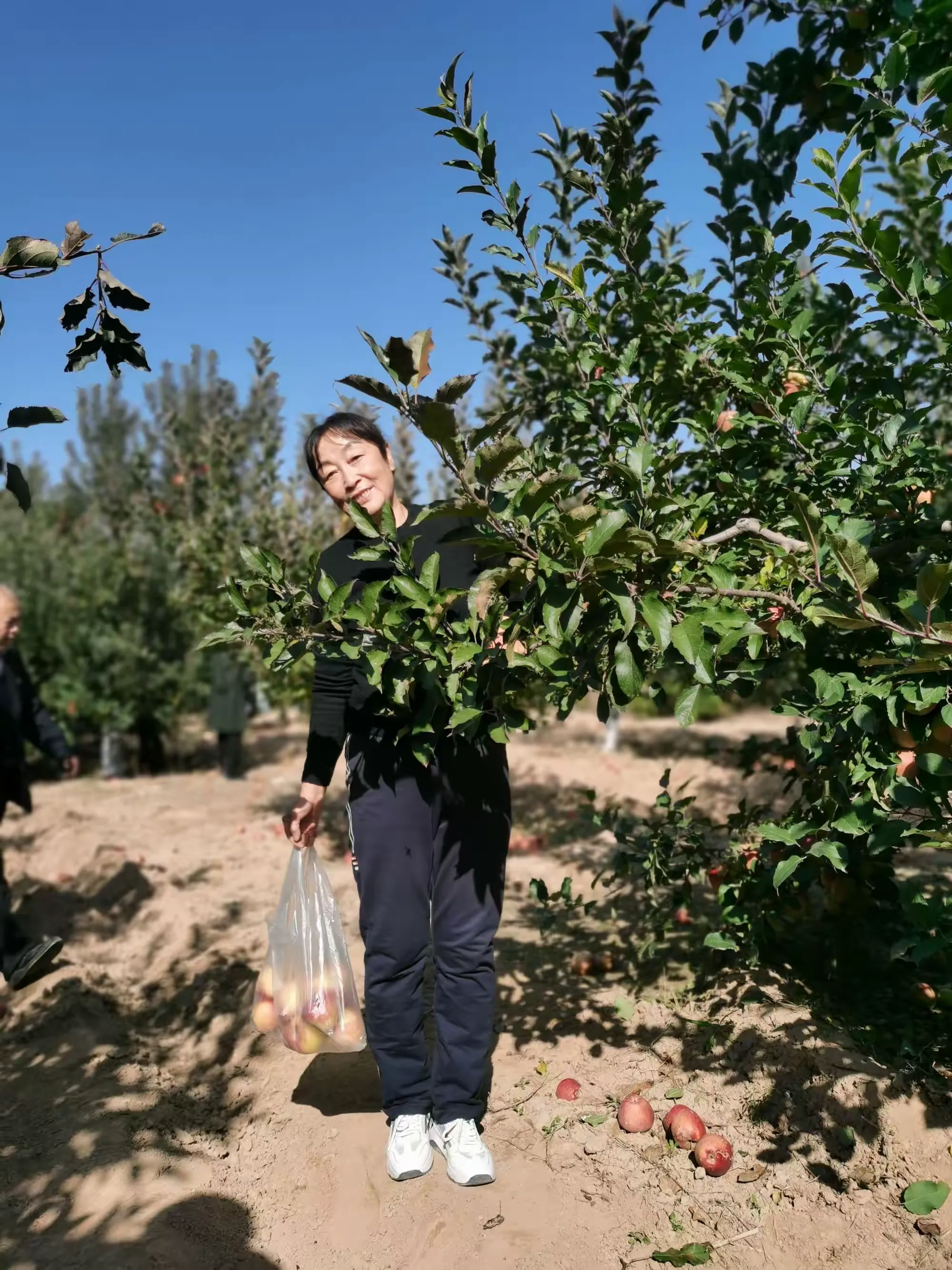 简篇-2023年柳林县老年大学电子琴一班采风记事