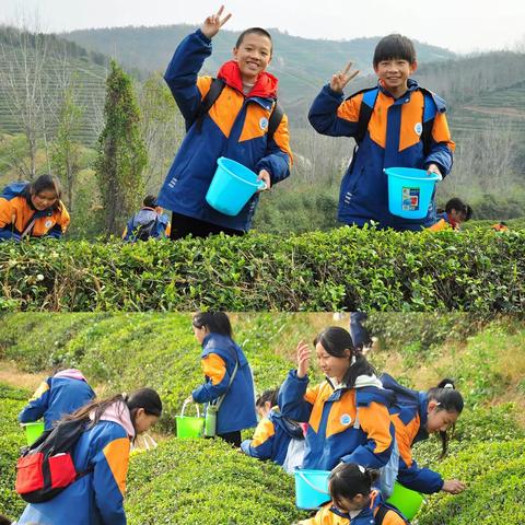 茶道承载立人情，劳动滋养振兴梦 —— 2023年襄阳市东津新区浩然中学茶文化研学活动！