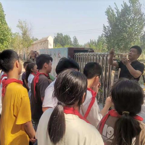 以劳育人,“薯”于我们的故事—开封市陈坟小学开展种红薯劳动实践活动