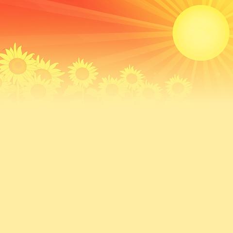 地大附校 303 中队暑假五小活动作品展示