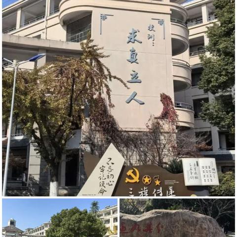 国培跟岗赋能量  砥砺前行促发展