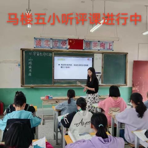 教有所得，研有所获——— 马楼第五小学教研活动