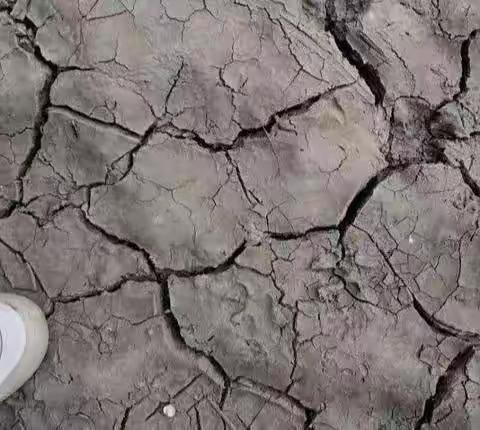 怎么治理我们的土壤？