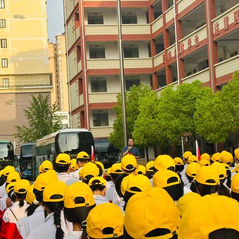 探秘竹海生灵，解锁自然密码