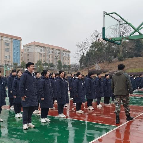 丰富多样的实践活动课程