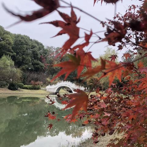 听乔晓光教授《核心素养与传统文化和非遗课程的教学实践》有感（11.26上午）