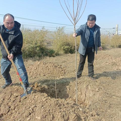 西大屯：植树添新绿，不负好春光