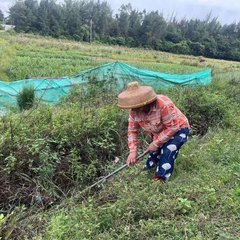 地太村委会组织开展“六水共治”整治活动