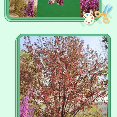 扎根乡土 守护成长——杨庄集镇赵庙小学的育人故事