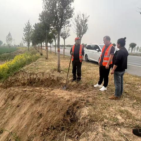 畅安舒美路域   春季养护争先