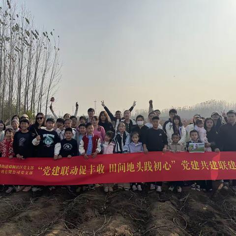 舜颖出游季 拾趣田园，“薯”不尽的美好