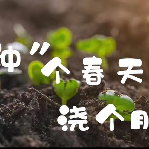 【一所有“故事”的小园儿】 ‍“种”个春天🌈  浇个朋友🥳 ——义和镇大山幼儿园春季🌞种植活动