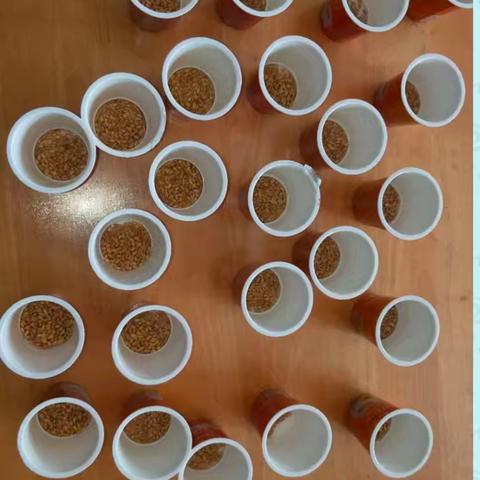 晨曦幼儿园马老师的简篇