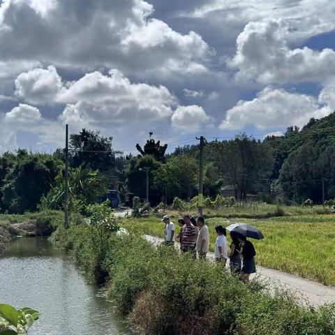 文岭镇|人大政协巡河 擦亮“美丽河湖”底色