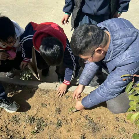 卞桥镇十八完小“寻味本草”中药社团活动纪实