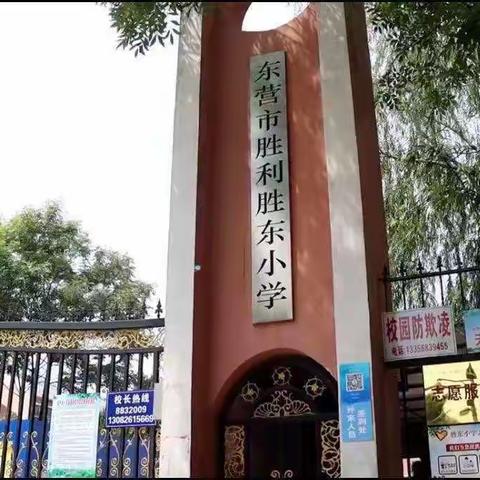 胜东小学第十三周工作纪实