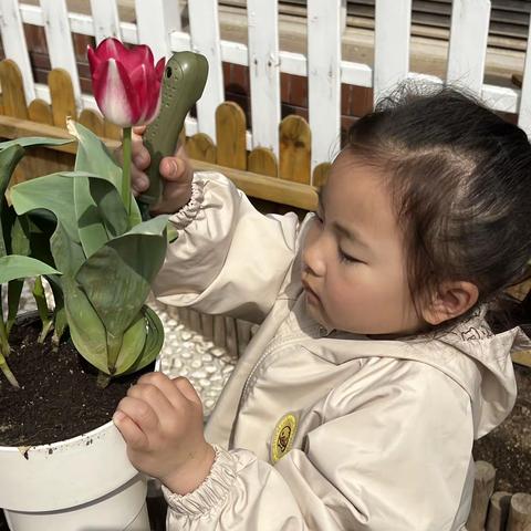 小二班春日种植活动