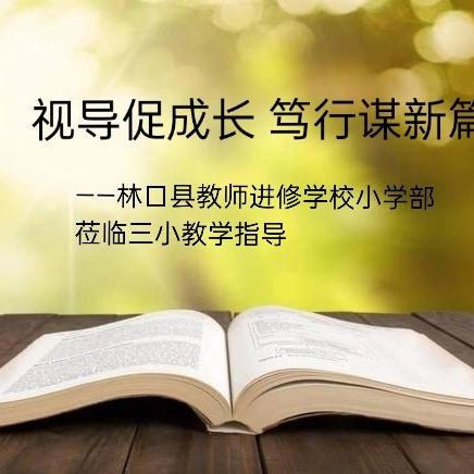 视导促成长 笃行谋新篇 ——林口县教师进修学校小学部莅临三小教学指导