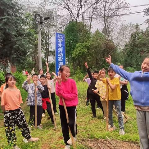 【蓝山县正市学校】劳动砺心志，实践促成长——蓝山县正市学校劳动实践活动小结