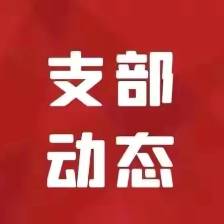 【支部动态】科技部第一（金科数智赋能）党支部｜智驭数据新纪元，湖仓一体领未来