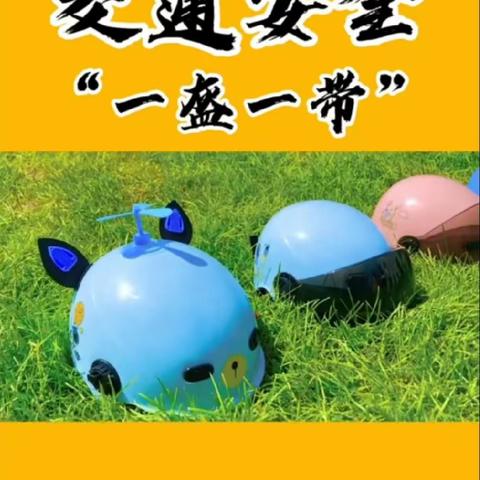 临高县临城镇蓝天幼儿园开展家长、学生戴安全头盔可骑乘电动车劝导专项活动