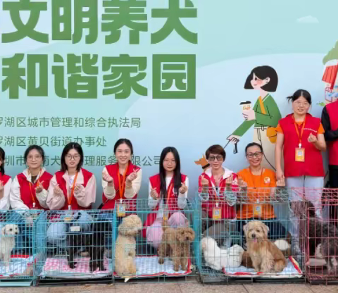 深圳市的“领养代替购买”