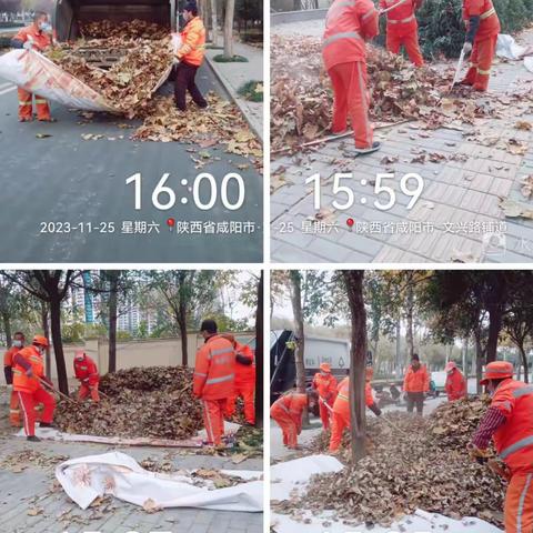 方瑞物业秦都项目11月25日工作动态