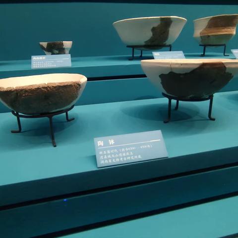 初一五班的研学之旅