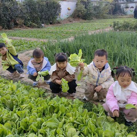 我在幼儿园生活奥