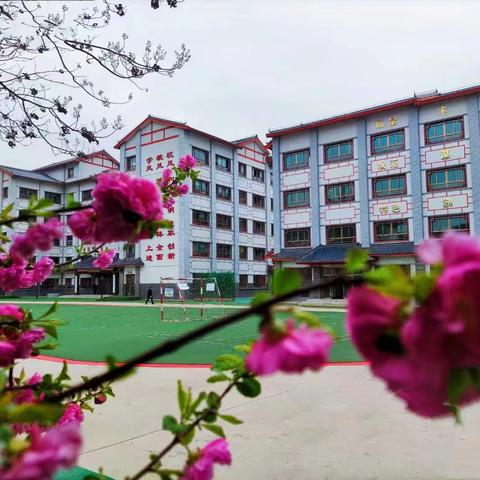 多彩社团展风采，五育并举促成长——天水市伏羲路逸夫小学社团展评活动