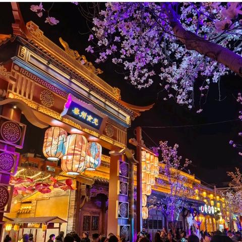 花影摇曳处 春深不知归——天水古城游记