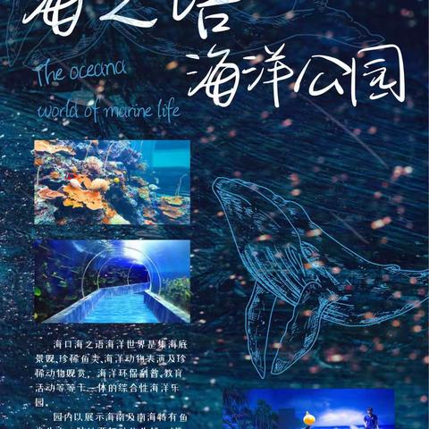 奇趣海洋世界，等你沉浸式探索——海口市丘浚学校二（3）班海之语海洋世界研学活动