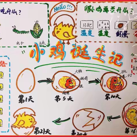 科学活动 研究性学习，我们在路上