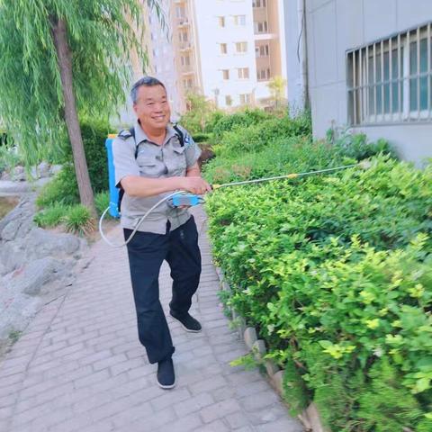 四害”消杀护健康，东源物业消杀进行时！