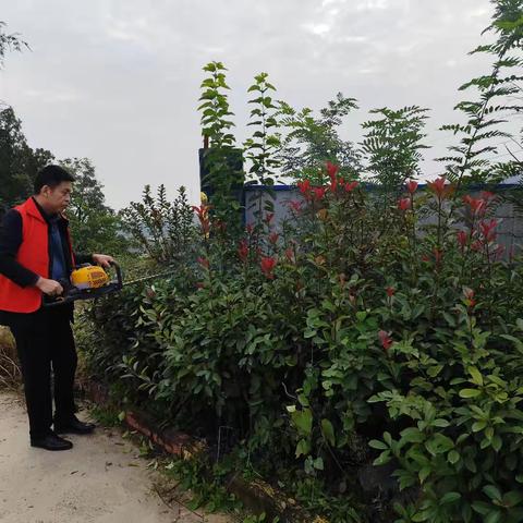 长寿山社区环境卫生治理活动