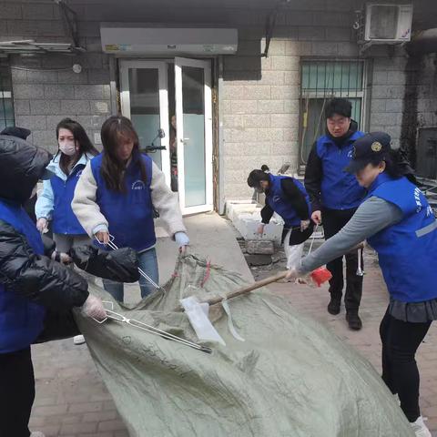 城乡路街道报达家园社区联合物业、物管会清理庭院， 共建美丽家园